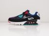 Кроссовки Nike Air Max 90 разноцветные мужские 9556-01