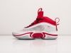 Кроссовки Nike Air Jordan XXXVI белые мужские 11096-01