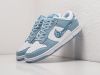 Кроссовки Nike SB Dunk Low голубые мужские 16266-01