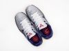 Кроссовки Nike Kobe 6 серебристые мужские 14176-01