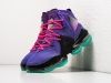 Кроссовки Nike Lebron XIX фиолетовые мужские 15476-01