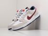 Кроссовки Nike SB Dunk Low серые мужские 9287-01