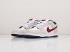 Кроссовки Nike SB Dunk Low серые мужские 9287-01