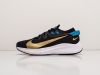 Кроссовки Nike Pegasus Trail 2 черные мужские 8377-01