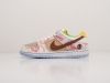 Кроссовки Nike SB Dunk Low разноцветные женские 9007-01