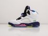 Кроссовки Nike Air Jordan 5 белые мужские 11167-01