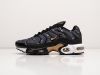 Кроссовки Nike Air Max Plus TN черные мужские 13757-01