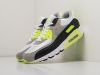 Кроссовки Nike Air Max 90 разноцветные мужские 14507-01