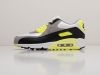 Кроссовки Nike Air Max 90 разноцветные мужские 14507-01