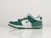 Кроссовки Nike Dunk Low Disrupt 2 зеленые женские 15997-01