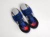 Кроссовки Nike Jordan Zoom Separate разноцветные мужские 16547-01
