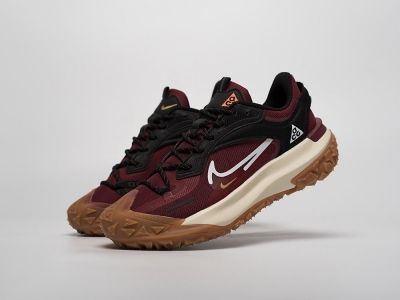 Кроссовки Nike ACG Mountain Fly 2 Low