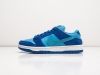 Кроссовки Nike SB Dunk Low синие женские 15368-01