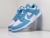 Кроссовки Nike SB Dunk Low голубые мужские 17958-01