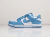 Кроссовки Nike SB Dunk Low голубые мужские 17958-01