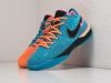 Кроссовки Nike LeBron NXXT Gen разноцветные мужские 17218-01