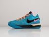 Кроссовки Nike LeBron NXXT Gen разноцветные мужские 17218-01