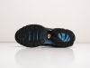Кроссовки Nike Air Max Plus TN разноцветные мужские 17258-01