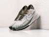 Кроссовки Nike React Pegasus Trail 4 GTX серые мужские 18028-01