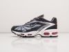 Кроссовки Nike Air Max Tailwind V серые мужские 11319-01