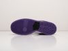 Кроссовки Nike SB Dunk Low фиолетовые мужские 13989-01