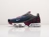 Кроссовки Nike Air Max Plus 3 разноцветные мужские 14089-01