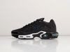 Кроссовки Nike Air Max Plus TN черные мужские 14139-01