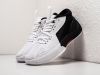 Кроссовки Nike Jordan Zoom Separate белые мужские 16549-01