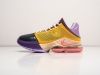 Кроссовки Nike Lebron XIX Low разноцветные мужские 17159-01