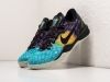 Кроссовки Nike Kobe 8 разноцветные мужские 17179-01