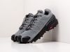 Кроссовки Salomon SPEEDCROSS 5 GTX серые мужские 9489-01