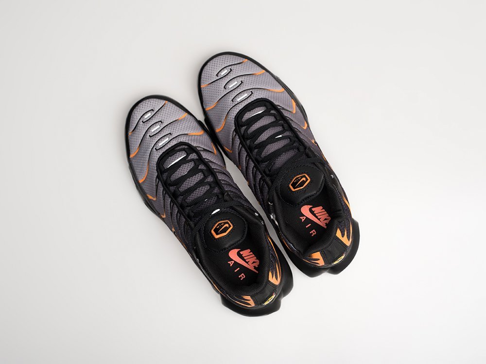 Кроссовки Nike Air Max Plus TN