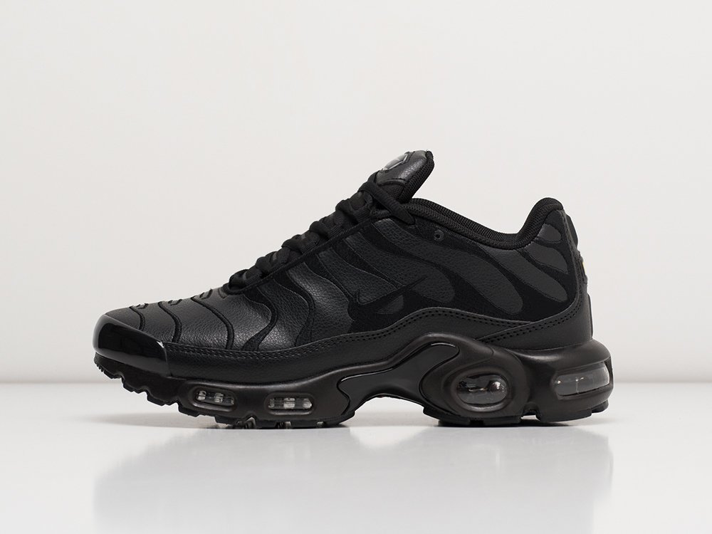 Кроссовки Nike Air Max Plus TN