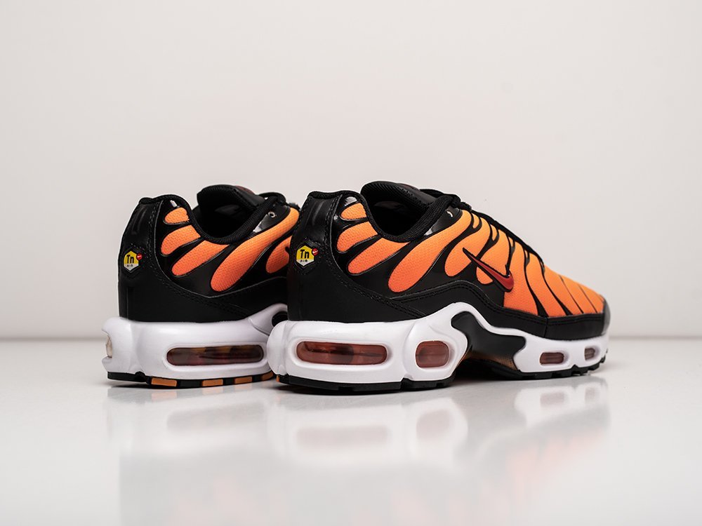 Кроссовки Nike Air Max Plus TN