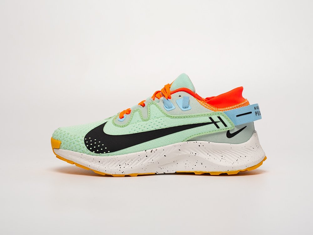 Кроссовки Nike Pegasus Trail 2