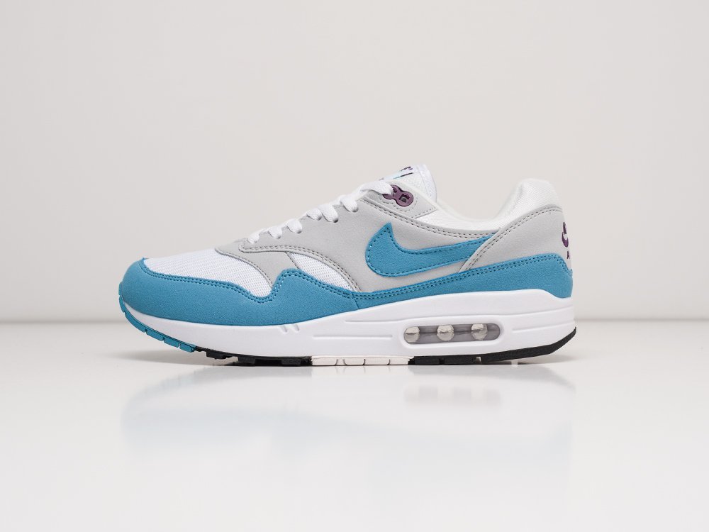 Кроссовки Nike Air Max 1