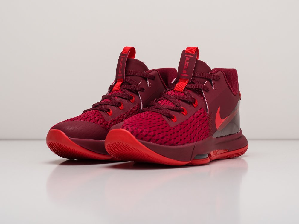 Кроссовки Nike Lebron Witness V