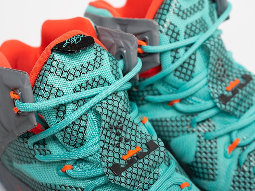 Кроссовки Nike Lebron 12