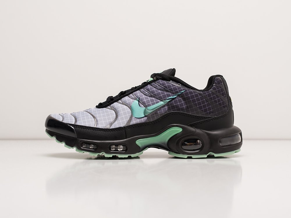 Кроссовки Nike Air Max Plus TN